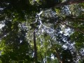 Tn 0205 DSC 5510